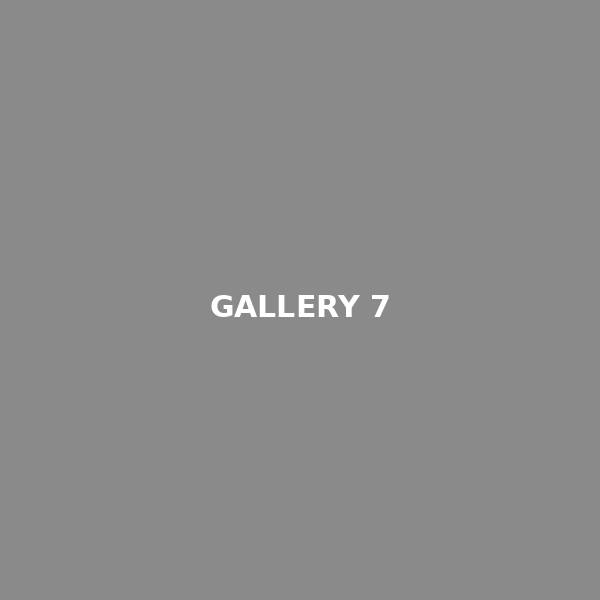 Gallery 7